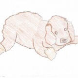 Elizabeth, St. John's Elizabeth, St. John's