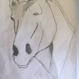 James, Paradise James, Paradise