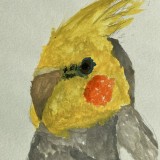 Luisa - St. John's Luisa - St. John's