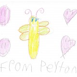 Peyton - Tors Cove Peyton - Tors Cove