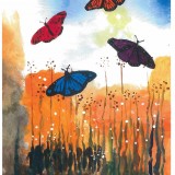 Shawn, CBS Shawn, CBS