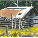 Shawn, CBS Shawn, CBS